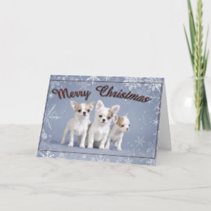 Chihuahua Christmas Card