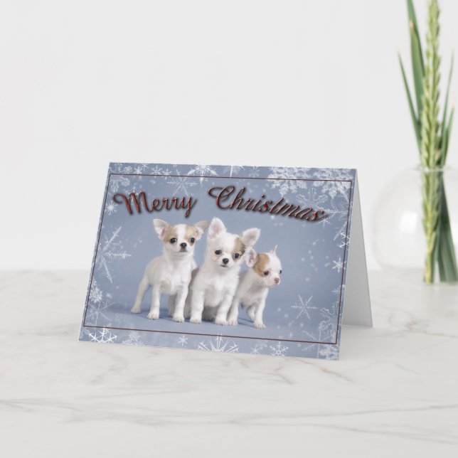 Chihuahua Christmas Card (Front)