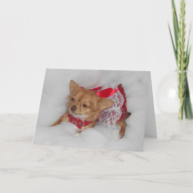 chihuahua Christmas dream card (Front)
