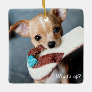 Chihuahua Christmas Ornament Square Personalised