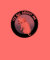 chihuahua circle1
