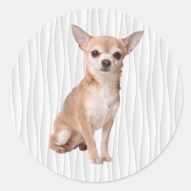 Chihuahua Classic Round Sticker (Front)