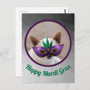 Chihuahua cute Happy Mardi Gras sparkly mask photo Postcard