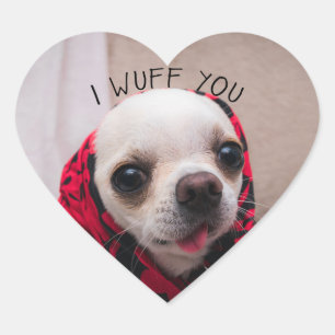 Chihuahua cute I wuff you love Valentines Heart Sticker