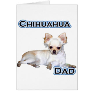 Chihuahua Dad 4