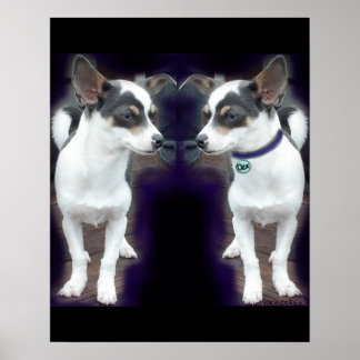 Chihuahua Dex reflection 16x20 print