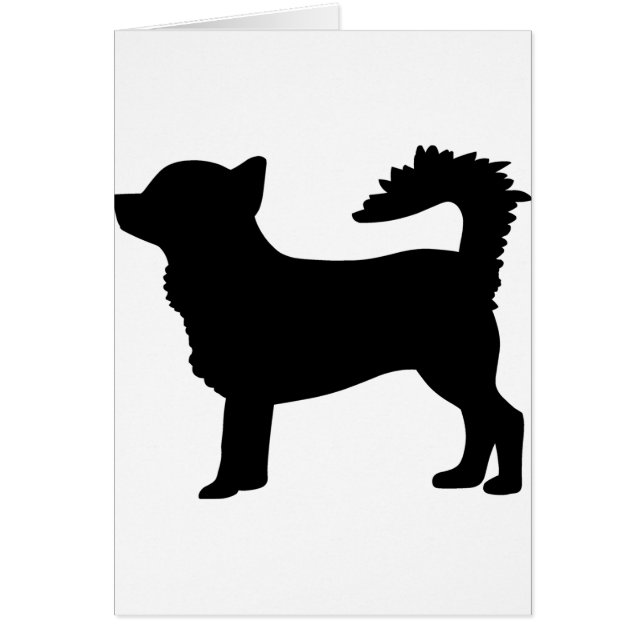 Chihuahua Dog (Front)