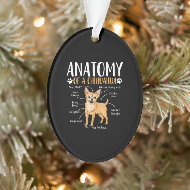 Chihuahua Dog Anatomy Ornament (Tree)