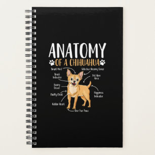 Chihuahua Dog Anatomy Planner