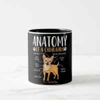 Chihuahua Dog Anatomy