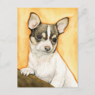 "Chihuahua" Dog Art Postcard