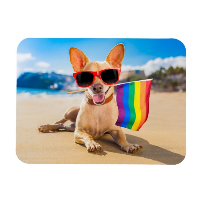 Chihuahua Dog  at the Beach Magnet (Horizontal)