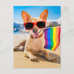 Chihuahua Dog  at the Beach Postcard