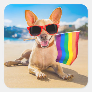 Chihuahua Dog  at the Beach Square Sticker