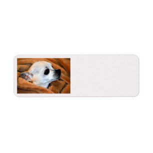 Chihuahua dog background label