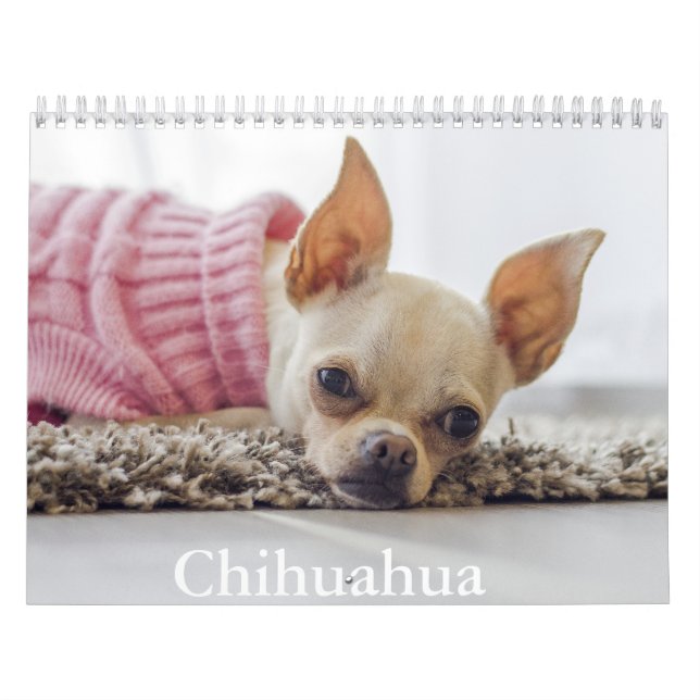 Chihuahua Dog Calendar (Cover)