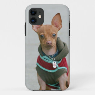 Chihuahua dog iPhone 11 case