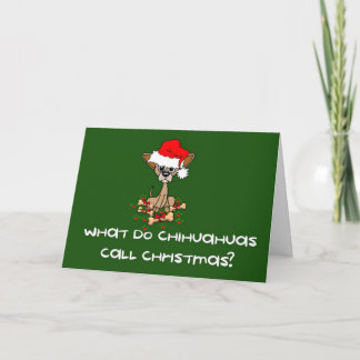 Chihuahua Dog Christmas Holiday Card