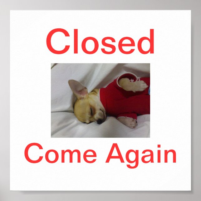 Chihuahua Dog Closed Sign Sleeping (Front)