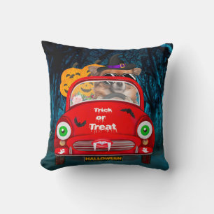 Chihuahua Dog Driving Car Scary Halloween Cushion