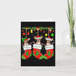 Chihuahua Dog In Christmas Socks Funny Pet Dog Lov Card