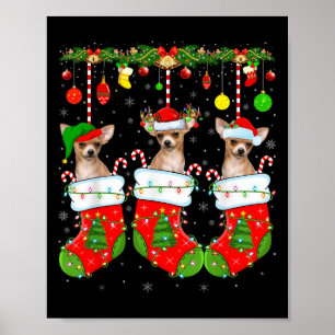 Chihuahua Dog In Christmas Socks Funny Pet Dog Lov Poster