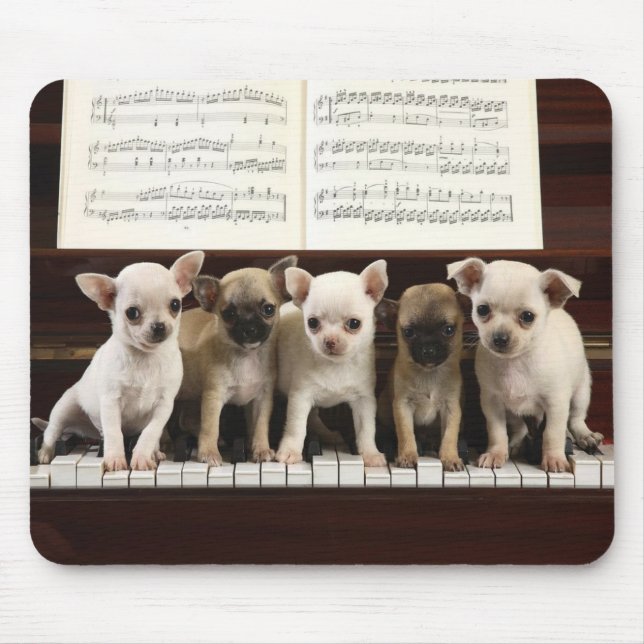 Chihuahua Dog Mouse Mat (Front)