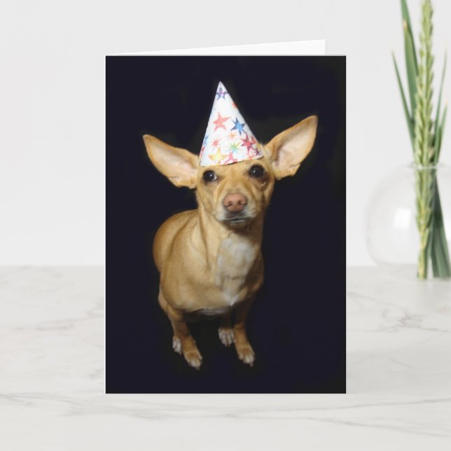 Chihuahua Dog Part Hat Birthday Greeting Card (Front)
