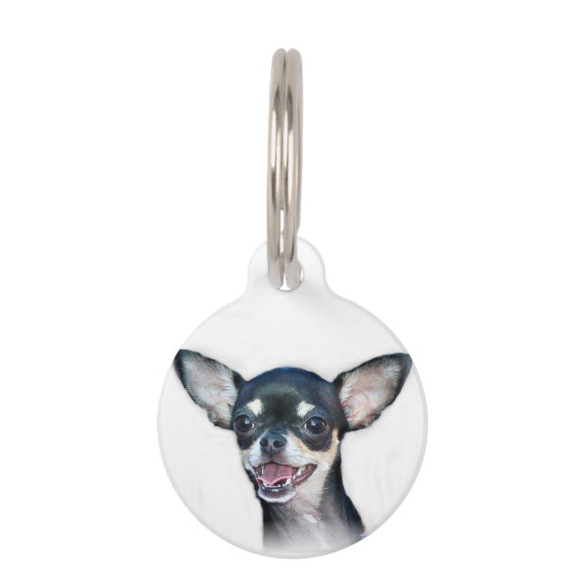 Chihuahua dog pet tag (Front)