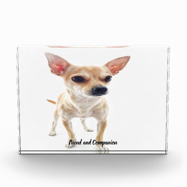 Chihuahua Dog. Photo Block (Front)