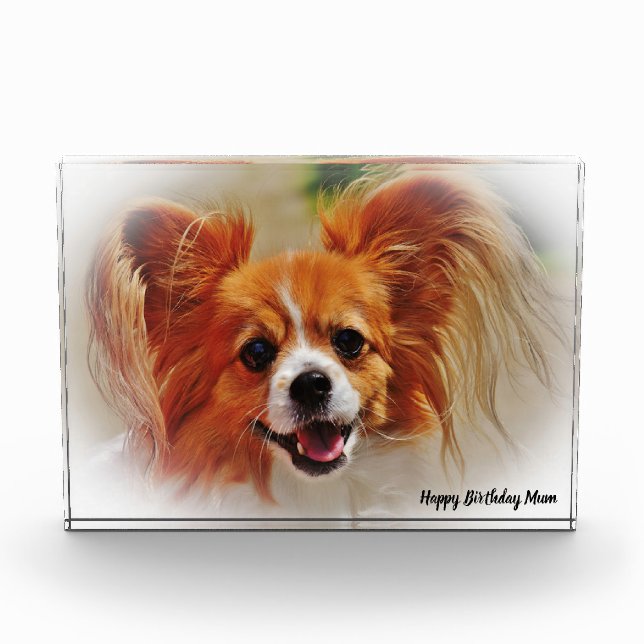 Chihuahua Dog. Photo Block (Front)