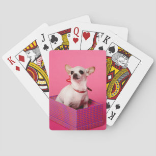 Chihuahua Dog Playing Cards