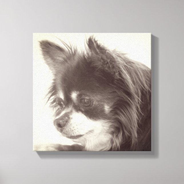 Chihuahua Dog Portrait Canvas Print (Front)