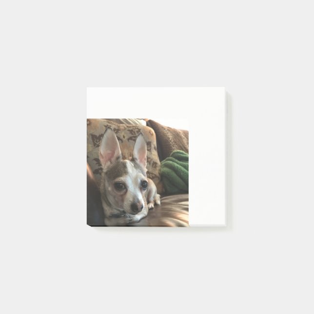 Chihuahua Dog Post it Notes (Front)