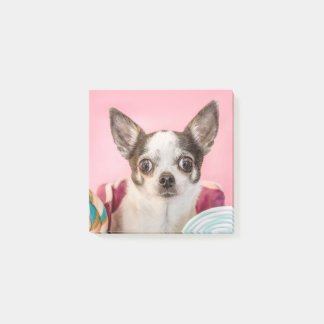 Chihuahua dog post-it notes