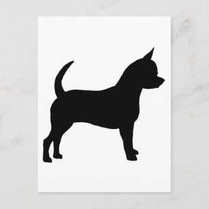 Chihuahua Dog Postcard