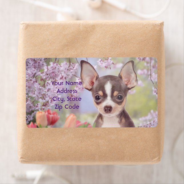 Chihuahua dog shipping labels (Insitu)