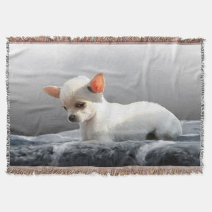 Chihuahua Dog Sitting Dog Portrait Art Painting Throw Blanket