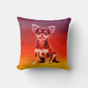 Chihuahua Dog Sitting On Beach Cushion