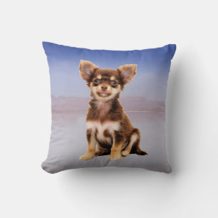 Chihuahua Dog Sitting On Beach Cushion