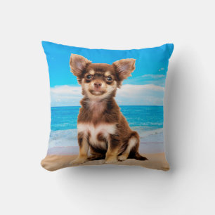 Chihuahua Dog Sitting on Tropical Beach Cushion