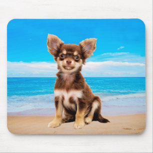 Chihuahua Dog Sitting on Tropical Beach Mouse Mat