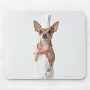 Chihuahua dog wearing chef's whites, studio shot mouse mat