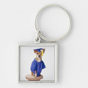 Chihuahua dog wearing graduation uniform, studio key ring