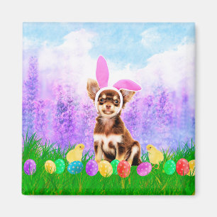 Chihuahua Dog with Easter Eggs Bunny Chicks Magnet