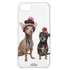 chihuahua dogs in winter hats with pom-poms