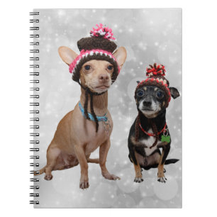 Chihuahua dogs winter hats portrait notebook