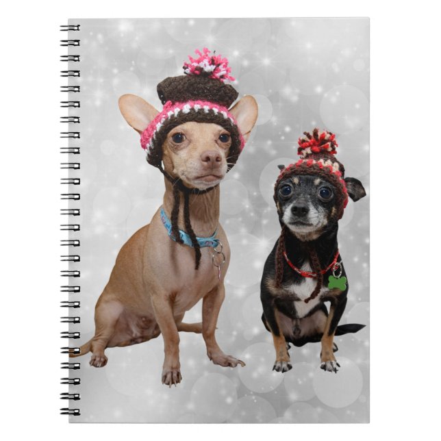 Chihuahua dogs winter hats portrait notebook (Front)