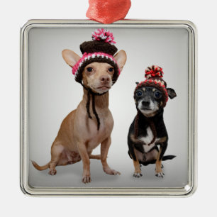 Chihuahua Dogs With Hats Photo Metal Tree Decoration