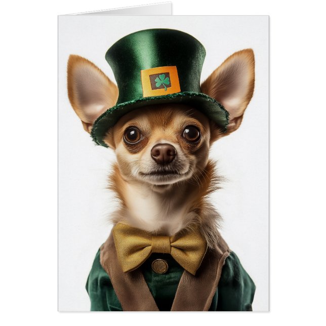 Chihuahua Dressed Leprechaun St. Patrick’s Day (Front)